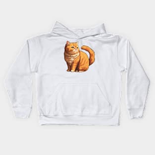 Fluffy Ginger Cat Kids Hoodie